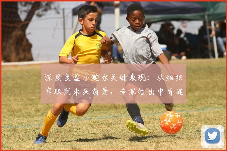 深度复盘小鲍尔关键表现:从组织串联到未来前景,专家给出中肯建议