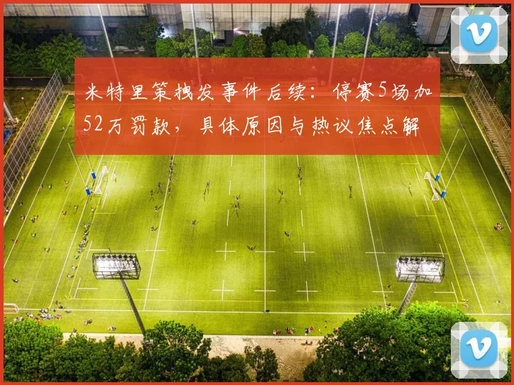 米特里策拽发事件后续：停赛5场加52万罚款，具体原因与热议焦点解读