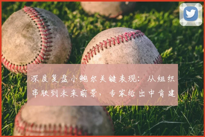 深度复盘小鲍尔关键表现:从组织串联到未来前景,专家给出中肯建议